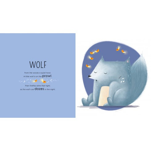SASSI - Who Lives In The Woods? - Sound Book